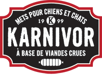 karnivor